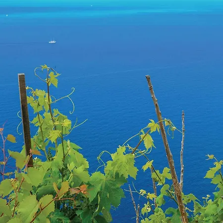 With Sea View X Lägenhet Žuljana