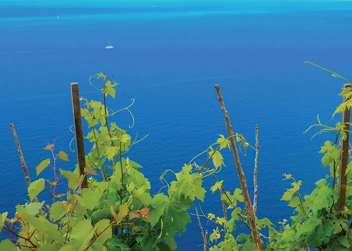 1 Bedroom Stunning In Daire Žuljana